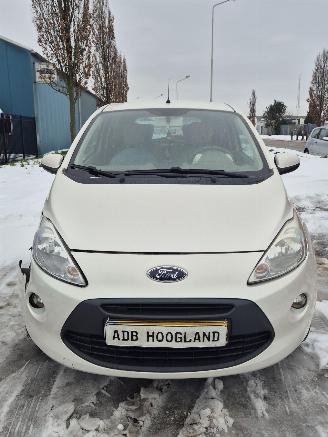 Démontage voiture Ford  II Hatchback 1.2 (169.A.4000(Euro 4; Euro 5)) [51kW] 5-BAK 2010/1