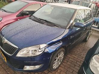 Dezmembrări autoturisme Skoda Fabia Fabia II (5J), Hatchback 5-drs, 2006 / 2014 1.2 TSI 2010/5