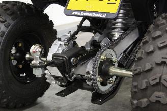 Kymco  Maxxer 300 Quad picture 7