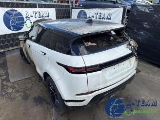Land Rover Range Rover Range Rover Evoque II (LZC/LZS/LZH), SUV, 2018 2.0 P250 MHEV 16V AWD picture 1