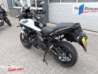 Kawasaki Versys 650 picture 6