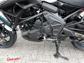 Kawasaki Versys 650 picture 13