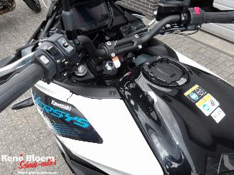 Kawasaki Versys 650 picture 24
