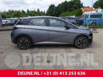 BYD Dolphin Dolphin, Hatchback 5-drs, 2021 60 kWh picture 8