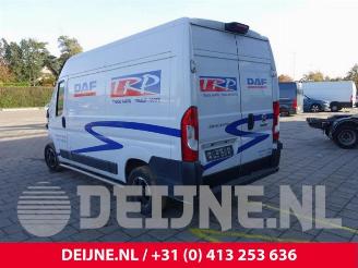 Fiat Ducato Ducato (250), Van, 2006 2.3 D 130 Multijet picture 5