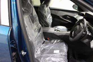 Peugeot 3008  picture 19