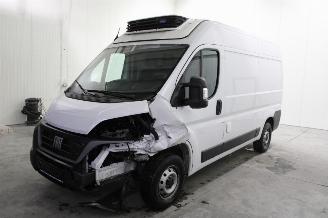 Voiture accidenté Fiat Ducato  2024/4
