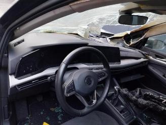 Volkswagen Golf Golf VIII (CD1), Hatchback, 2019 1.0 eTSI 12V picture 15