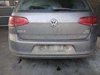 Volkswagen Golf Golf VII (AUA), Hatchback, 2012 / 2021 1.6 TDI 16V picture 10