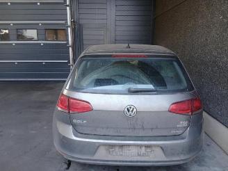 Volkswagen Golf Golf VII (AUA), Hatchback, 2012 / 2021 1.6 TDI 16V picture 9