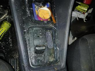 Volkswagen Caddy Caddy Cargo V (SBA/SBH), Van, 2020 2.0 TDI BlueMotionTechnology picture 14