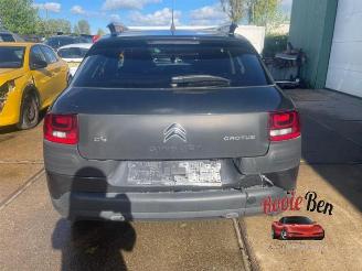 Citroën C4 cactus C4 Cactus (0B/0P), Hatchback 5-drs, 2014 1.6 Blue Hdi 100 picture 5