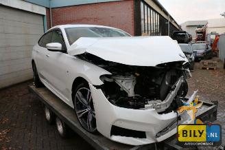 Démontage voiture BMW 6-serie G32 3.0dX 2017/8