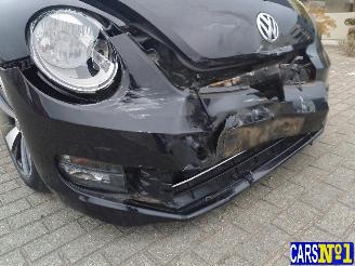 Volkswagen Beetle  picture 10