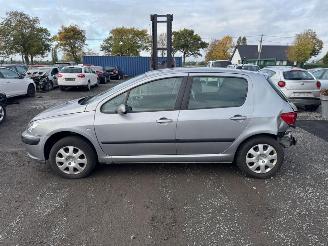 Peugeot 307  picture 8