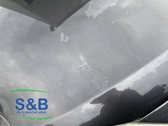 Seat Toledo Toledo (5P2), MPV, 2004 / 2010 1.6 picture 15