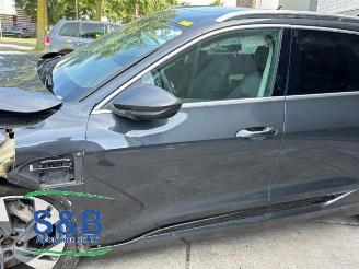 Audi E-tron E-tron (GEN), SUV, 2018 50 quattro picture 24