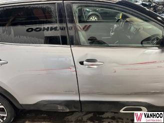 Citroën C5 AIRCROSS picture 6