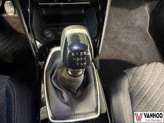 Peugeot 2008  picture 22